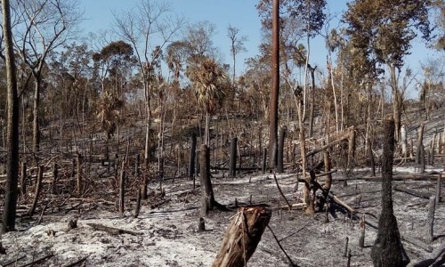 Guatemala declara estado de calamidad por Incendios forestales